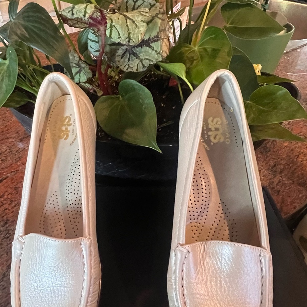 ❤️❤️❤️❤️❤️❤️NOT FOR SALE!! ❤️❤️❤️❤️❤️❤️ - Picture 2 of 15